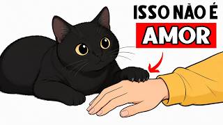 Se o seu gato toca com a pata em você 🐾, ele está tentando te dizer ISSO! 😼