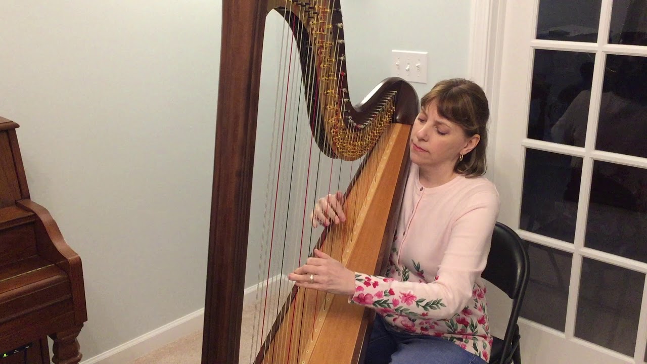 Promotional video thumbnail 4 for Debbie Vinick