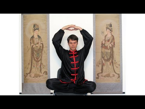 Cezar Culda - Meditatia coloanei vertebrale de lumina