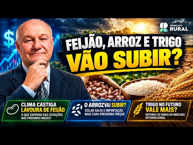 Feijão, Arroz e Trigo Vão Subir? Dólar e Clima Mexem com as Cotações.