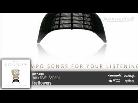 York feat. Asheni - Iceflowers
