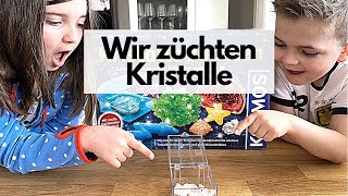 Wir züchten Kristalle - Wie geht das? mit Kosmos - Experimentieren mit den Winnies - Die Winnies