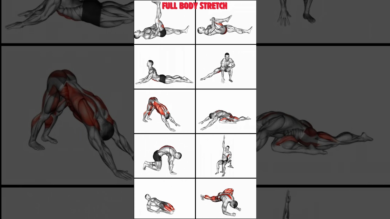 Top 10 Full Body Stretching Exercises| #workout #stretching
