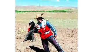 The insider champion