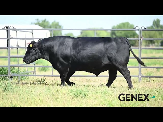 GENEX - 001AN01670 - JUSTIFICATION