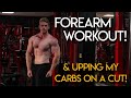 Forearm Focused Workout, Upping My Carbs & Physique Update!