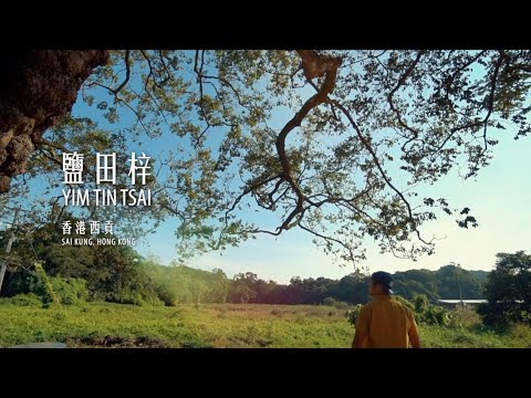 香港西貢：鹽田梓藝術節 2020