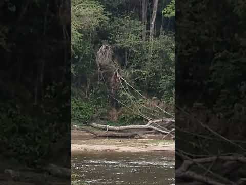 ⏳️⭐️⏳️Rio Preto divisa juiz fora com Minas Gerais...bela cachoeira  e sua magia...pelo tempoi!!