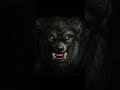 Werewolf Sound Growl - Howling  #freesoundeffects
