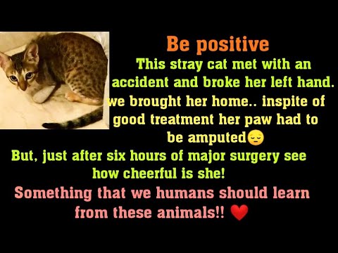 'बी पाॅझिटिव्ह'- Just after 4 hrs of operation ☺️