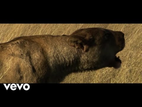 Ferrara - Sonar Tour 2015