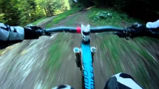 preview picture of video 'Downhill Bike Park Lavarone Pina Colata'