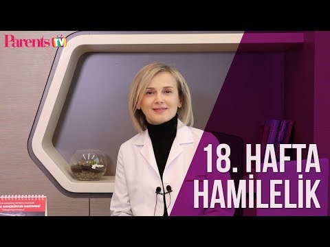 Parents TV - 18 Hafta Hamilelik