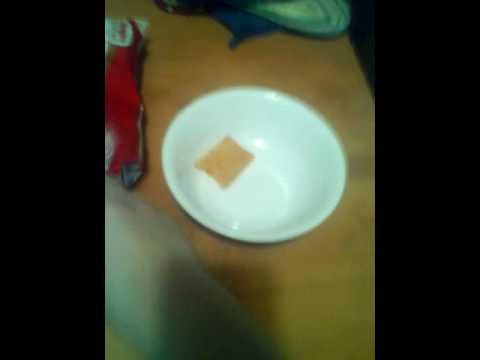 How to cook pizza rolls in the microwave