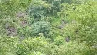 preview picture of video 'The Great Waterfall Maheshwara in Karoli, Rajasthan... I have seen before must watch'