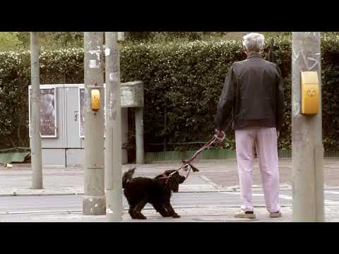 Manmeet Kaur- Oxymoronic Tendency