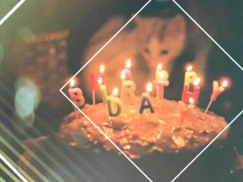 Happy birthday to you jaklin❤