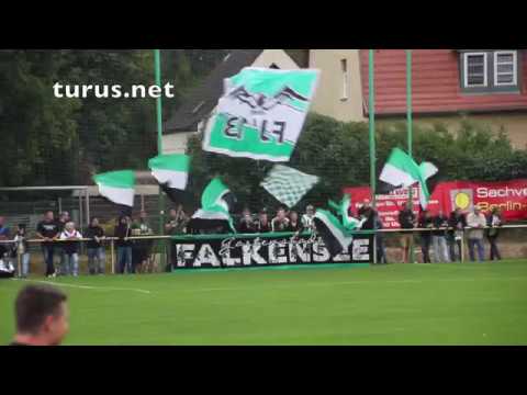 SV Falkensee-Finkenkrug vs FC Energie Cottbus