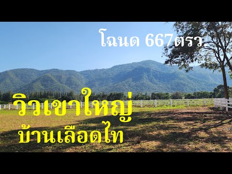 ขายที่ดินเขาใหญ่วิวผากระดาษ  – รูปที่ 2