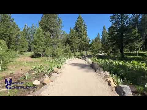 A Peaceful Walk Along the Alder Creek Boardwalk | Built by Madole Construction