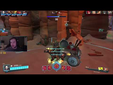 [Paladins] Backdoor