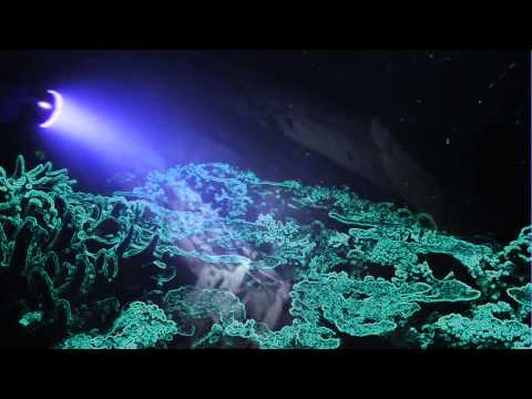 Biodub - Mangrove - B1 - Tiefenrausch EP001