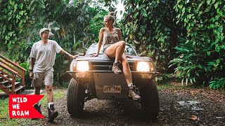 We Moved To The Jungle