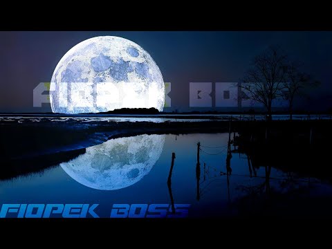 Blantino x Pan Anonim - Fiopek BOSS