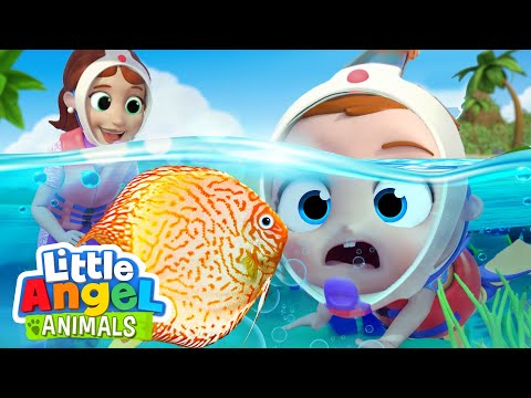 Ocean Animals Song | Fun Animal Sing Along Songs by Little Angel Animals