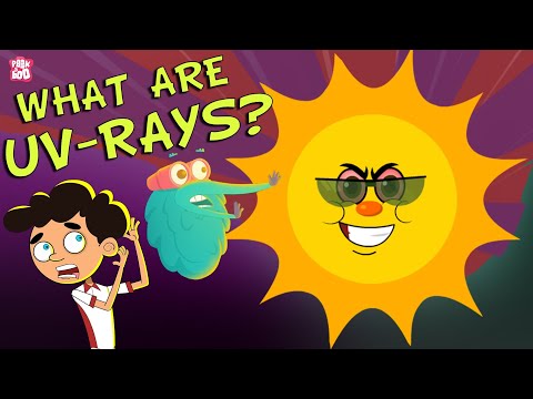 ULTRAVIOLET RAYS | How Harmful Are UV Rays? | Ultraviolet Radiation | Dr Binocs Show | Peekaboo Kidz