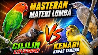 Download lagu MASTERAN CILILIN LOVEBIRD VS KENARI KAPAS TEMBAK 🔥 Gacor Pancingan Juara Lomba Auto Nembak! mp3 Download lagu MASTERAN CILILIN LOVEBIRD VS KENARI KAPAS TEMBAK 🔥 Gacor Pancingan Juara Lomba Auto Nembak! mp3