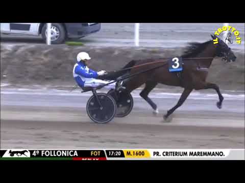 DJOKOVIC GRIF NEL CRITERIUM MAREMMANO A RECORD DELLA GENERAZIONE DI 1.12.7 - FOLLONICA 04/10/2021