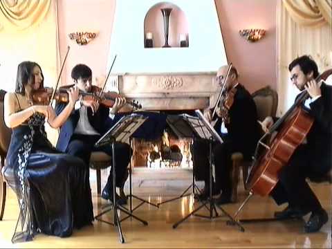 Promotional video thumbnail 9 for Bravo String Quartet / Bravo Music