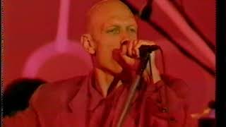 MIDNIGHT OIL - What Goes On (Live) Stompem Ground Music Festival - 11 July 1998