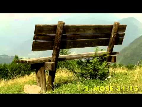 1 Biblische Feste - Sabbat 7.Tag