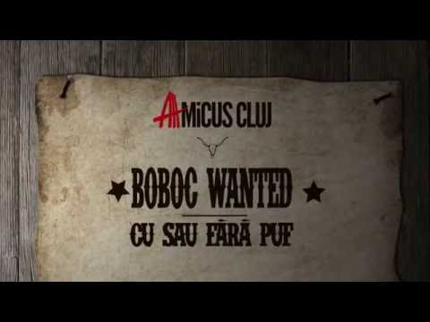 Boboc Wanted - AMiCUS Cluj