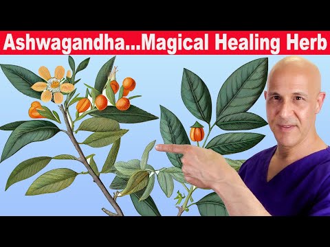 ASHWAGANDHA...Balance Blood Glucose & Insulin, Stress, Thyroid & Immune System | Dr. Mandell