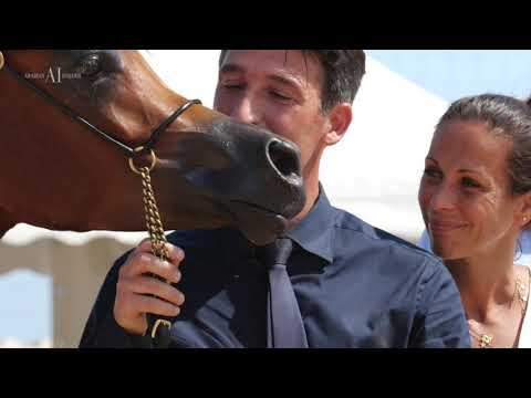 ✨ D THARIAH ✨ - Unanimous Gold Champion Yearling Filly at Menton Arabian Horse Show 2021