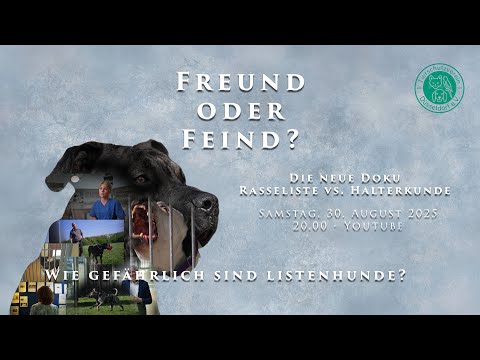 Freund oder Feind - Wie gefährlich sind Listenhunde? (Dokumentation)
