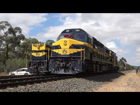 ALL VR BLUE & GOLD! Diesel Loco C501 leads The all Victorian Railway passenger cars!