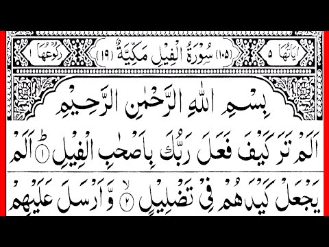 Alam Tara Kaifa Fala Rabbuka | Learn Quran With Tajweed | Surah Feel Ki Tilawat | Hafiz Usama Ali
