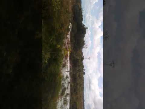 voltando pra casa/ natureza/ #Baião #mocajuba #para