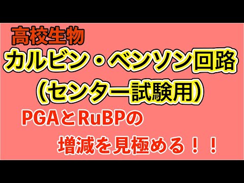 メルビン・カルビンについて詳しく解説