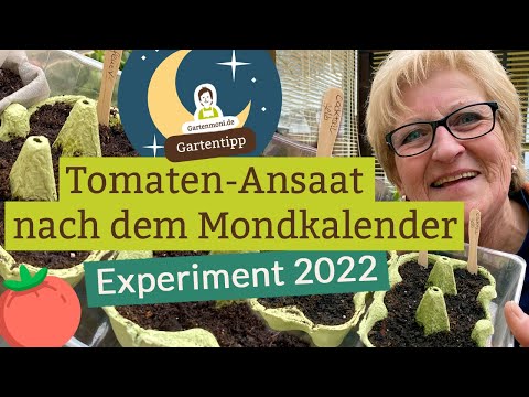 , title : 'Erste Tomatenansaat 2022 nach dem Mondkalender'