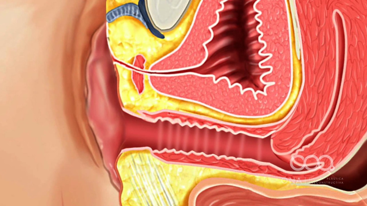 José Luis Segura Castillo-19