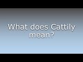 What does Cattily mean?