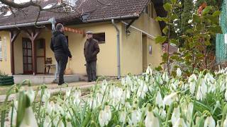 Jókor és jól jöttek a plusz juttatások