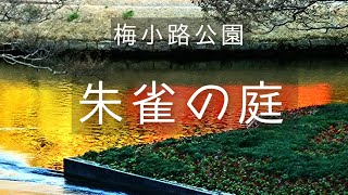 梅小路公園·朱雀の庭