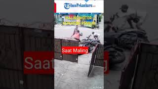 Download lagu Viral Maling Motor Kepergok Pemilik dan Habis di Hajar Warga mp3 Download lagu Viral Maling Motor Kepergok Pemilik dan Habis di Hajar Warga mp3