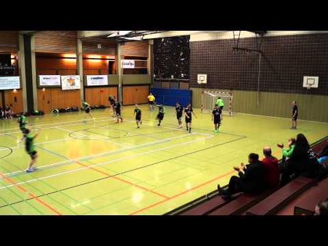 Handball: Regionsliga Männer Mitte 14/15: TV Bodenwerder - TSG Emmerthal III 24.1.2015